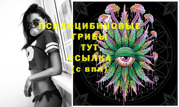 экстази Абаза