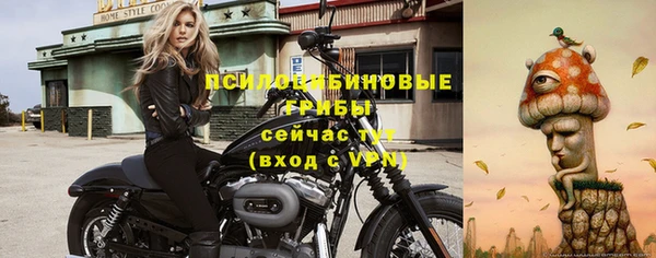экстази Абаза