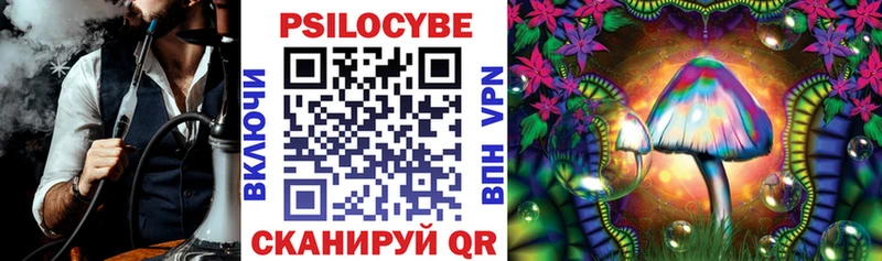 Галлюциногенные грибы Cubensis Вологда